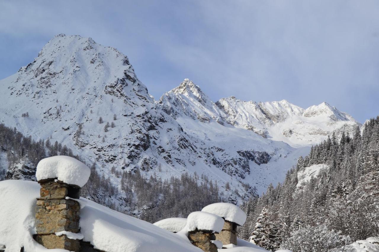 La Mura' - Il Vostro Posto Nel Gran Paradiso Ronco Canavese Exterior photo