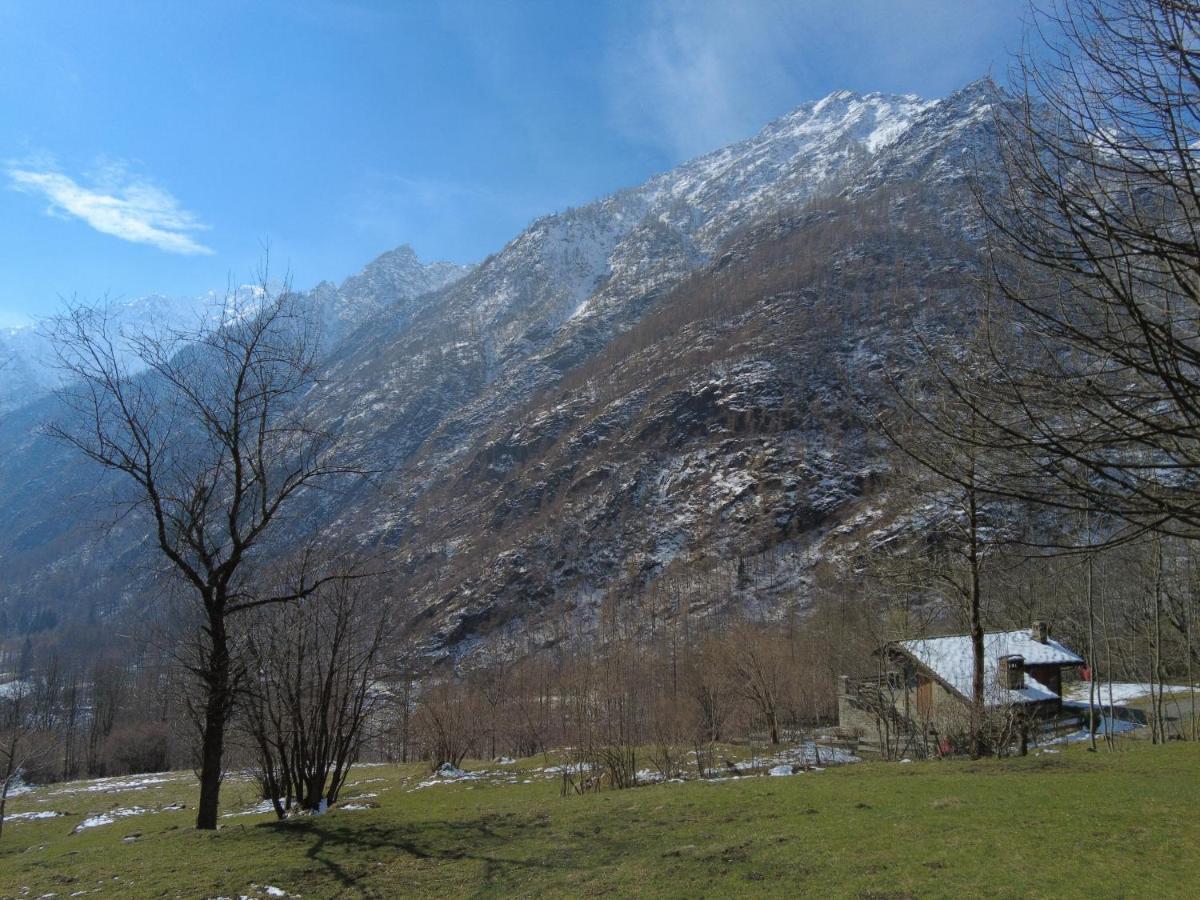 La Mura' - Il Vostro Posto Nel Gran Paradiso Ronco Canavese Exterior photo