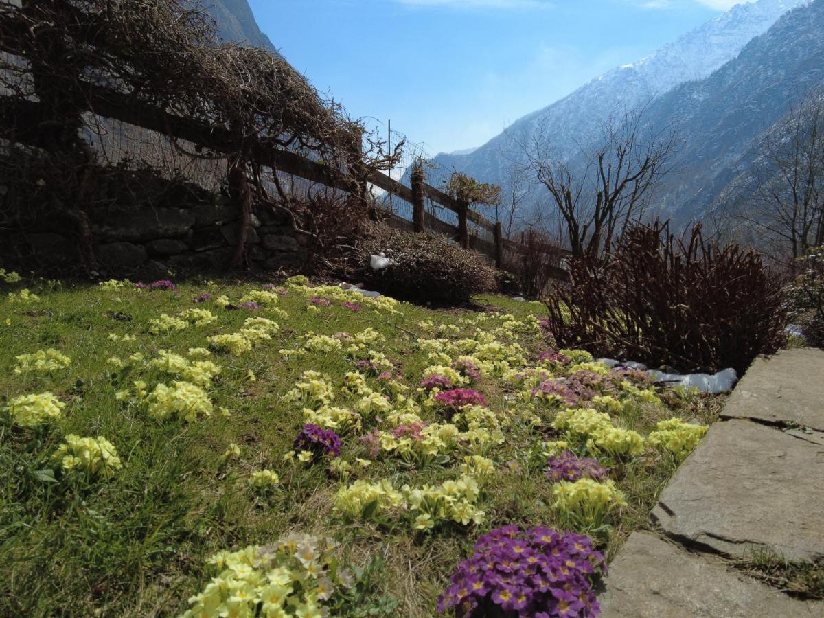 La Mura' - Il Vostro Posto Nel Gran Paradiso Ronco Canavese Exterior photo