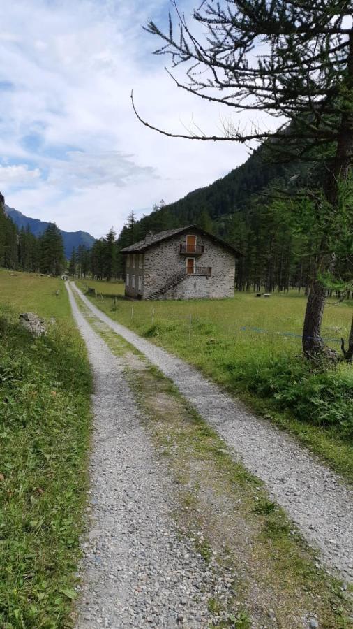 La Mura' - Il Vostro Posto Nel Gran Paradiso Ronco Canavese Exterior photo